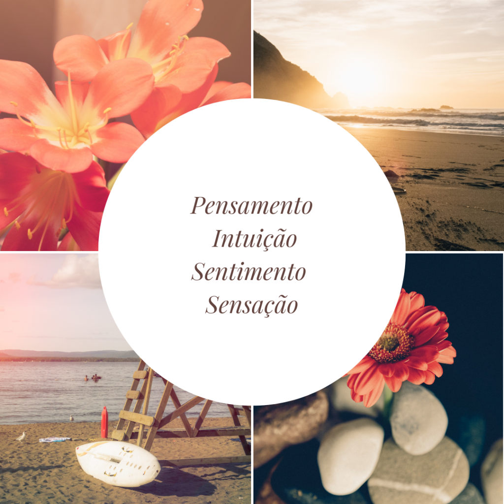 Tipos psicológicos de segundo Jung - Pensamento Intuição Sentimento Sensação